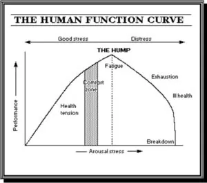 human-function-curve